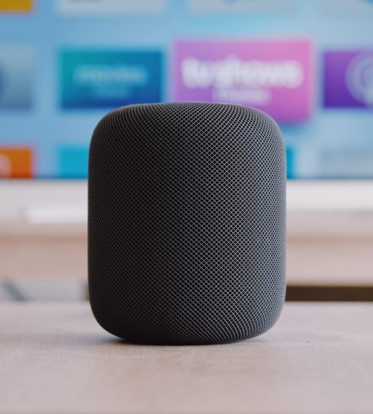 Smart Home Speaker